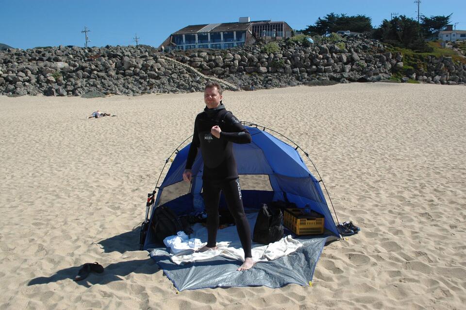 Surfender Tattergreis am Pazifikstrand.