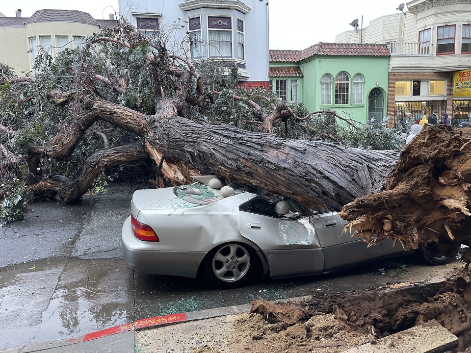 Vor unserem Haus hat ein im Sturm umgestürzter Baum ein Auto zermatscht.