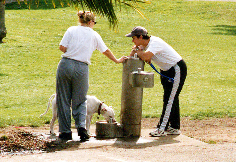 Lässiges Abhängen am Trinkwasserbrunnen